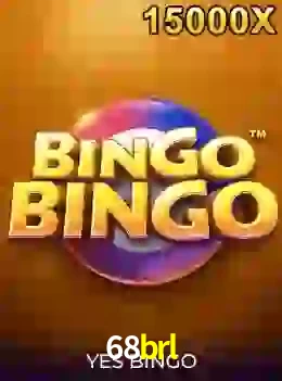 bingobingo